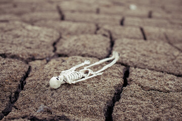 a toy human skeleton on cracked soil