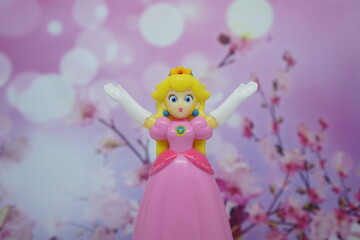 Princess on a pink background