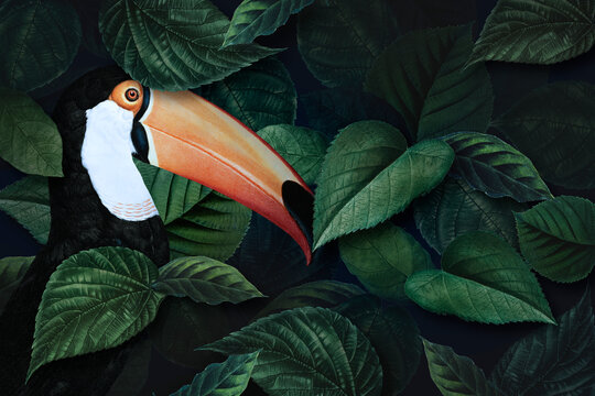 Tropical macaw on a leafy background