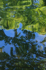 Naklejka premium 芦ノ湖の水面と新緑