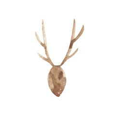 Watercolor drawing of a deer head on a white background. Animal, nature, christmas, forest.