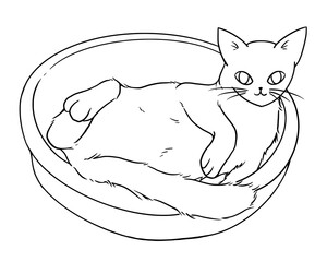 A cat curled up in a basket. Line art. Cartoon style illustration. Hand-drawn vector.