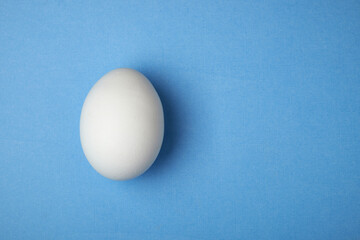 single white chicken egg on a background with space for writing
