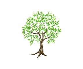 Hand drawn tree vector illustration