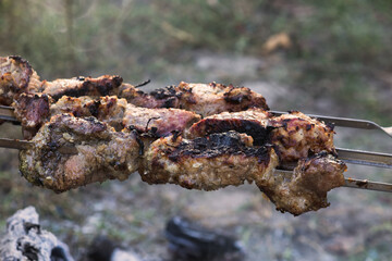 Fire, meat on skewers