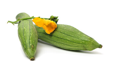 fresh loofah on the white background 