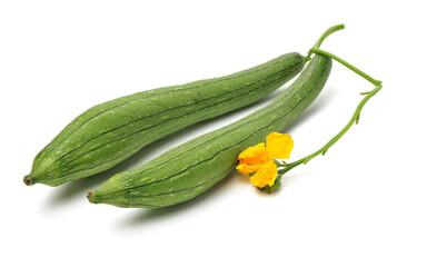 fresh loofah on the white background 