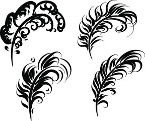 Set of bird feathers. Vector illustration in line art. Outline witch transparent background 