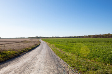 Long country road through the field