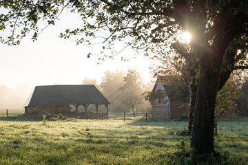 Verger Normand au lever du Soleil, avec une ancienne grange éclairée par les rayons du Soleil