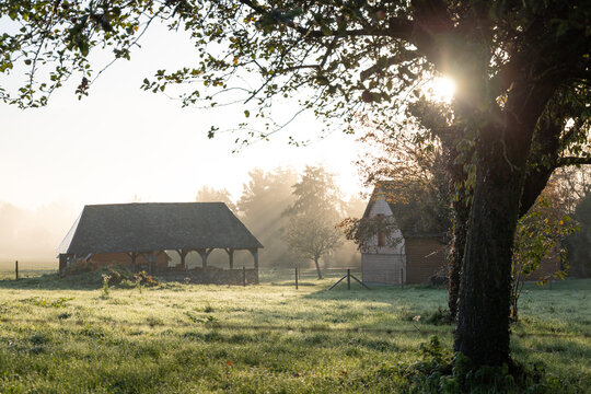 Verger Normand au lever du Soleil, avec une ancienne grange &eacute;clair&eacute;e par les rayons du Soleil