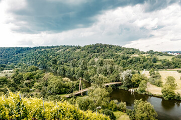 Blick auf der Neckar von Hessigheim aus, Baden-Württemberg