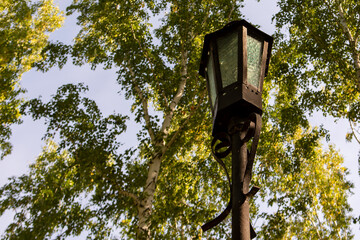 metal lantern with a lamp in the park among the trees