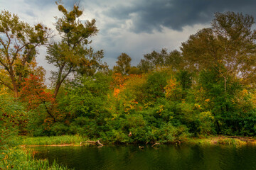 Fototapeta na wymiar The lake is surrounded by beautiful autumn trees.