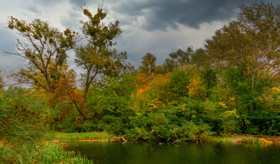 The lake is surrounded by beautiful autumn trees.