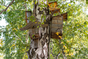 Birdhouse on the tree in spring. Several bird houses