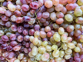lots of grape harvest as background or texture