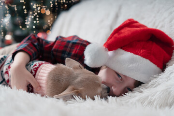 Fototapeta premium Happy Little boy and dog at Christmas