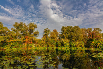 The lake is surrounded by beautiful autumn trees.