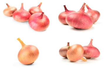 Set of Ripe onion over a white background