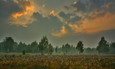 Countryside. Meadow. Early morning. Sunrise.