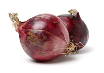 fresh onion on white background