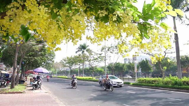 Busy traffic at boulevard with Cassia fistula flower foreground blooms adorns city growing urban landscape Ho Chi Minh city, Vietnam