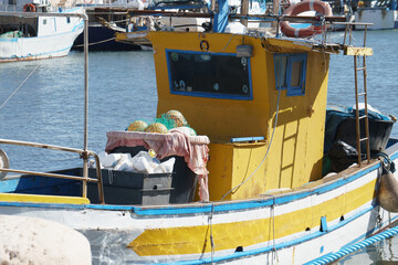 Pescereccio