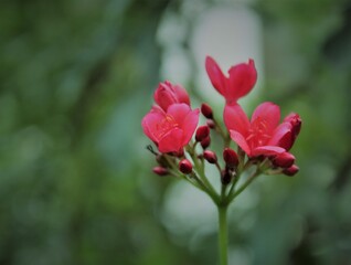 Spring is at the doorstep