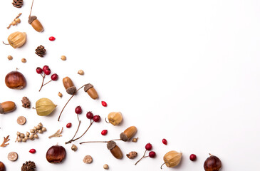 Beautiful autumn composition with dried leaves nuts and berries on white background