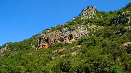 Fototapeta na wymiar View on a hill in Provence