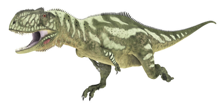Dinosaurier Yangchuanosaurus, Freisteller