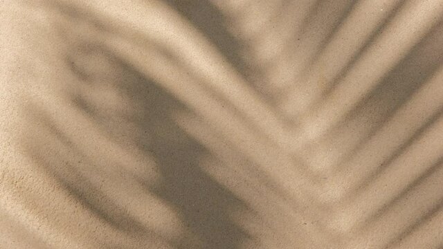 abstract background of shadows palm leaf in wind overlay on sand beach texture background.