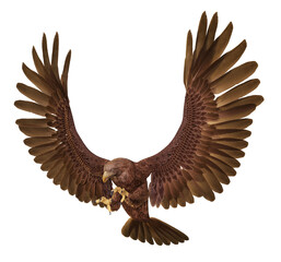 Seeadler, Freisteller