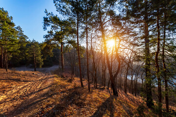 Obraz premium Beautiful landscape of autumn forest on sunrise.