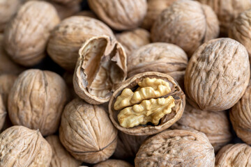 Ripe and raw whole big walnut kernel with thin shell on wooden rustic backdrop. Healthy nut food for brain. Fresh walnuts background concept