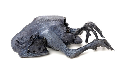 Whole Black Chicken, Silkie, Isolated On White Background