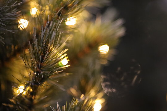 Christmas tree lights bokeh, blurred abstract xmas content for wallpaper