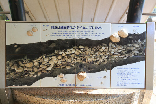 大森貝塚遺跡庭園　縄文貝塚遺構