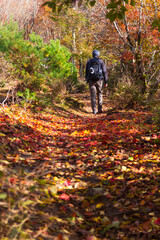Naklejka premium 秋の武奈ヶ岳 登山風景
