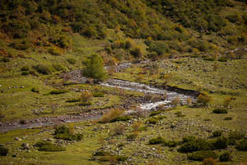Meanders and curves of the Aragon Subordan River. Aragonese Pyrenees, near of Aguas Tuertas valley, Hecho and Anso, Huesca, Spain.