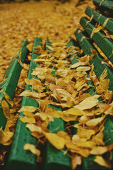 A bench covered with autumn leaves in the park. Side view. Close-up. Bright autumn vertical background.