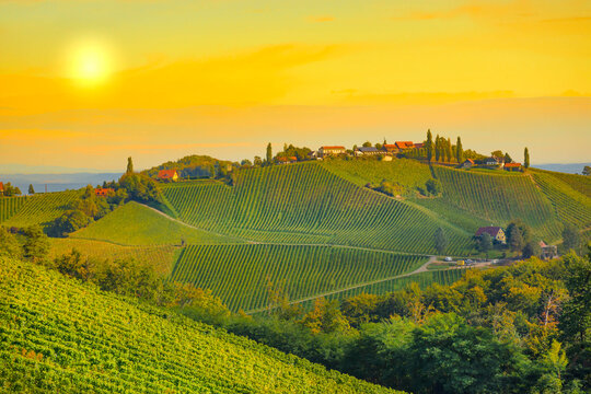 Vineyards along South Styrian Wine Road, a charming region on the border between Austria and Slovenia with green rolling hills, vineyards, picturesque villages and wine taverns