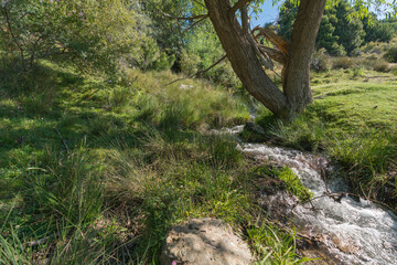 Crystal clear water flowing through a ditch