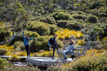 Foto op Plexiglas Cradle Mountain Asian family rest at viewing deck, enjoy the lush greenery scenic view