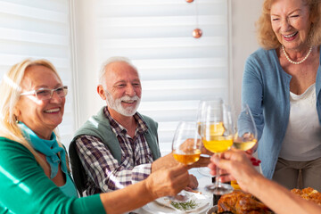 Senior friends making a toast for Thanksgiving dinner