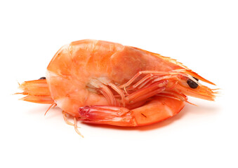 cooked shrimp isolated on white