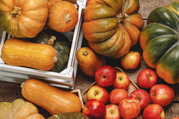 Autumn harvest of pumpkins and apples on wooden board