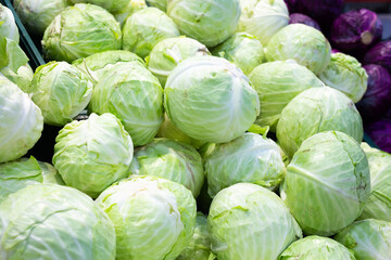 heads ripe cabbage texture background