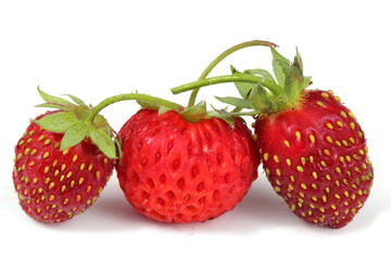 Three strawberries